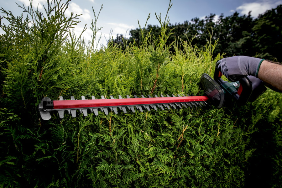 Acheter des taille-haies en ligne chez Max Urech AG