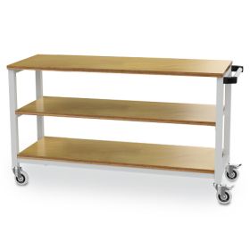 Bedrunka+Hirth Mobile Werkbank, Tiefe 540 mm, 2 Fachböden, 1500 x 540 x 880 mm