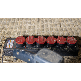 Steffen Steckdosenleiste PROFESSIONAL, T25 Steckdosen, 16 A, GdV 5 x 2.5mm², IP55, schwarz/rot, diverse Ausführungen