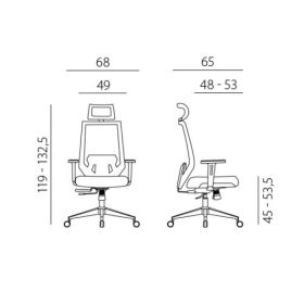 Chaise de bureau ergonomique Edge avec dossier résille, en deux couleurs