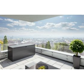 biohort StyleBox 170 Special Edition, dunkelgrau-metallic, 1700 x 700 x 810 mm, 685 Liter
