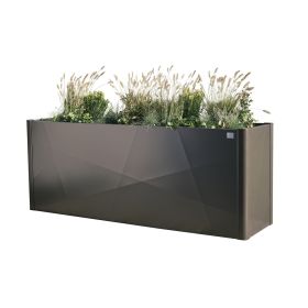 Biohort Pflanzbeet Belvedere® X-Design, Gr. 200 Maxi, in 3 Farben