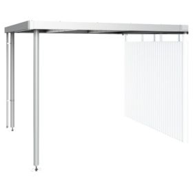 biohort Seitendach zu Gerätehaus HighLine®, silber-metallic, H3: 2820 x 2350 x 2220 mm