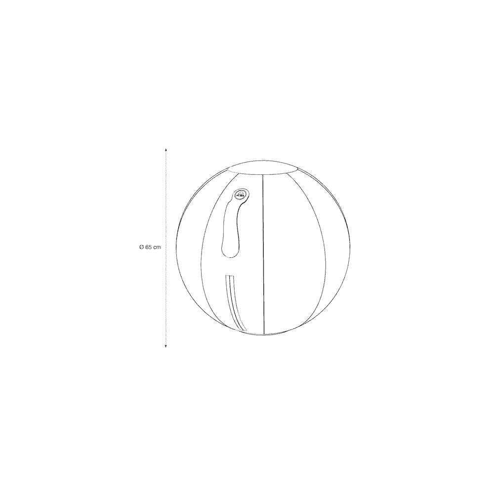 Ballon ergonomique Alba, diamètre 650 mm, disponible en 3 couleurs