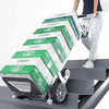 Treppensteiger mit Raupenantrieb und Bremse, Typ TS-105, elektrische Treppensackkarre, Tragkraft 105 kg