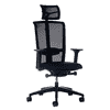 Chaise de bureau Interstuhl LX216 avec dossier en résille et accoudoirs 4D, noir
