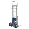 Elektrischer Treppensteiger mit Lift, Tragkraft 170 kg