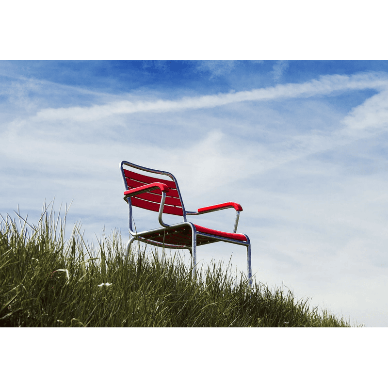 Schaffner Fauteuil RIGI en bois de frêne suisse, en diverses exécutions