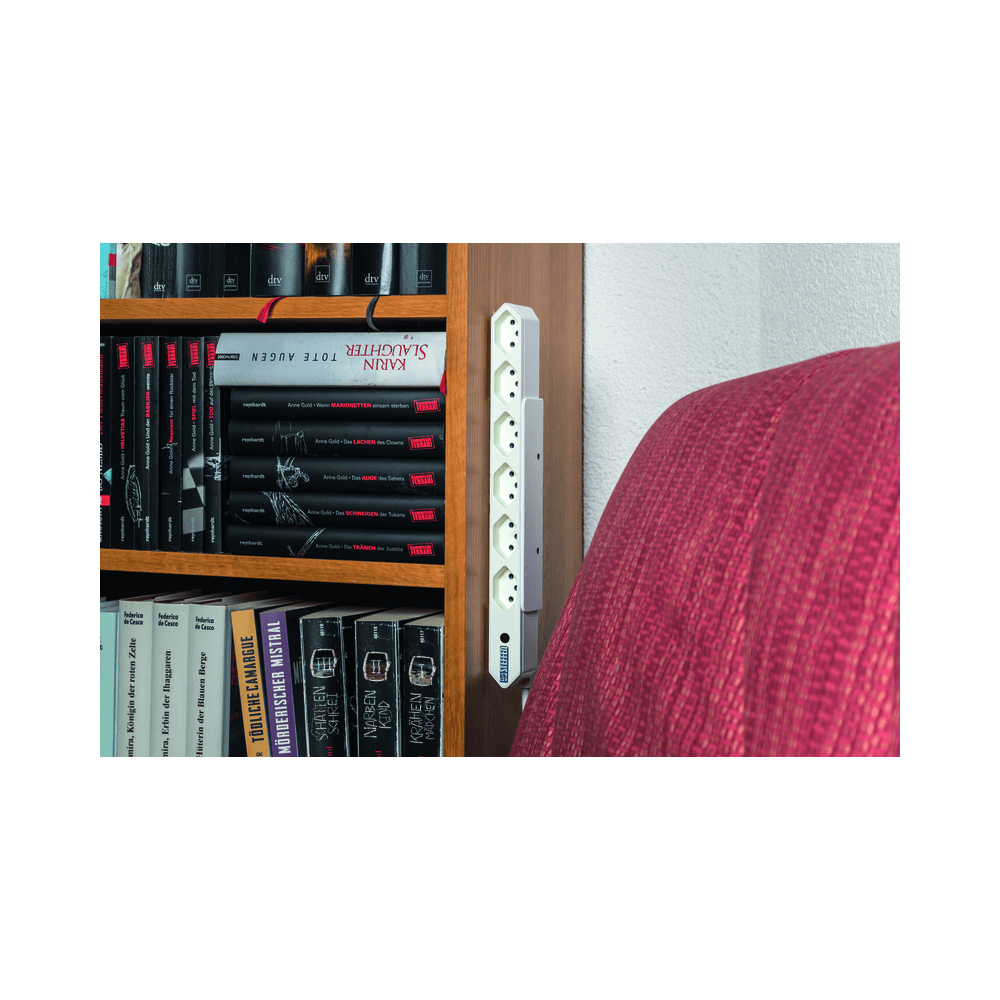 Steffen Multiprise IQ, 6 x T13, 10 A, IP20, câble de 1.5 m, avec protection contre les surintensités, en deux couleurs