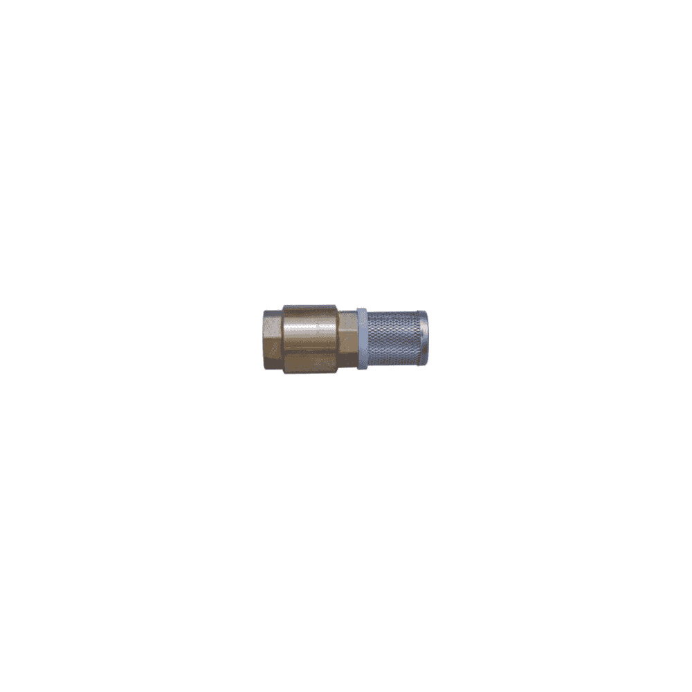 Clapet/Crépine avec clapet, avec filtre, laiton, 1" FF