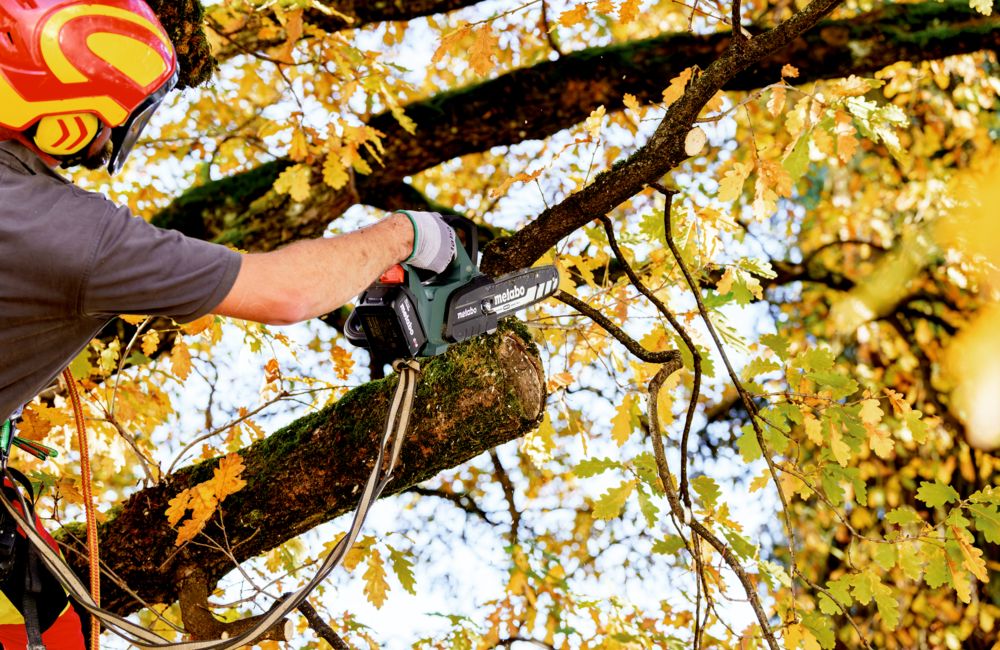 Metabo Akku-Kettensäge MS 18 LTX BL 25, 18 V, in zwei Ausführungen