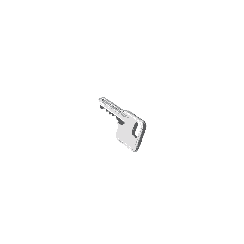 C+P Einzel-Ersatzschlüssel Standard mit Gleichschliessung Ergo-Lock