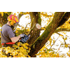 Metabo Akku-Kettensäge MS 18 LTX BL 25, 18 V, in zwei Ausführungen