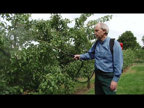 Birchmeier Akku-Rückensprühgerät REC 15, Füllmenge 15 l, 18 V in drei Ausführungen
