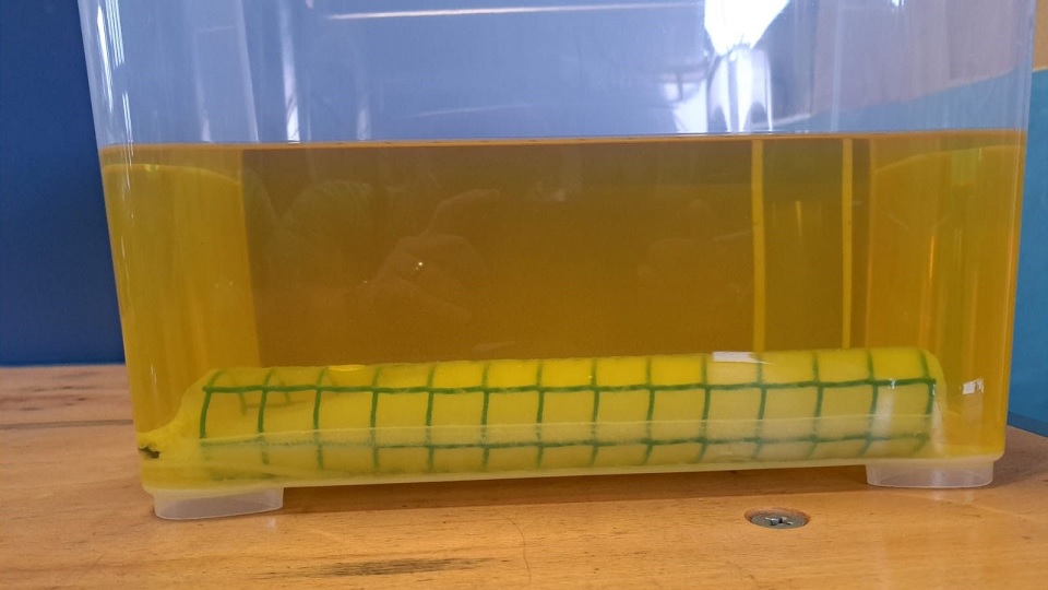 Wasserabsorber für Diesel, Grösse S, Aufnahmekapazität 400 ml, Länge 30 cm
