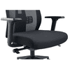 Chaise de bureau Pegasus avec dossier et accoudoirs en maille, noir