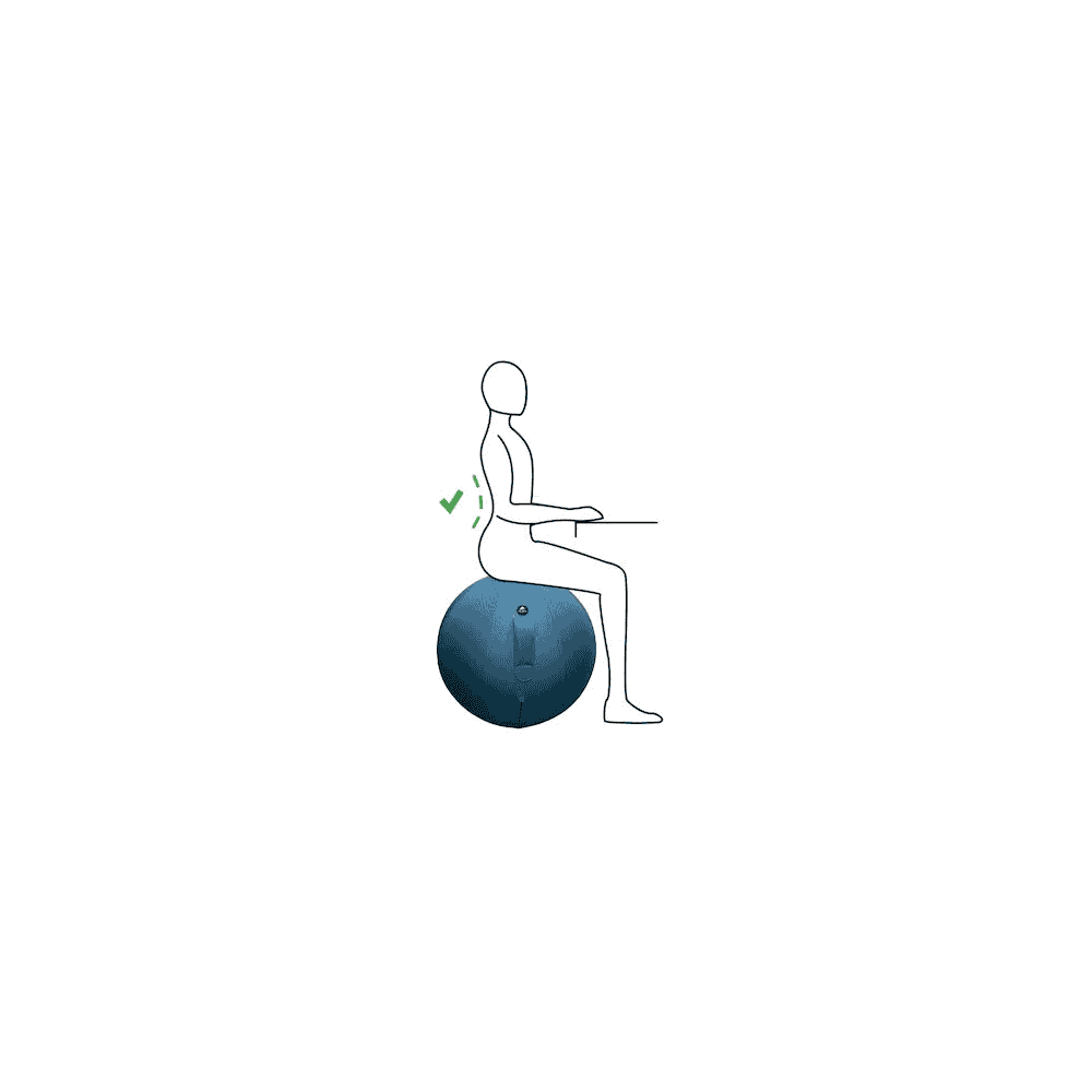 Ballon ergonomique Alba, diamètre 650 mm, disponible en 3 couleurs