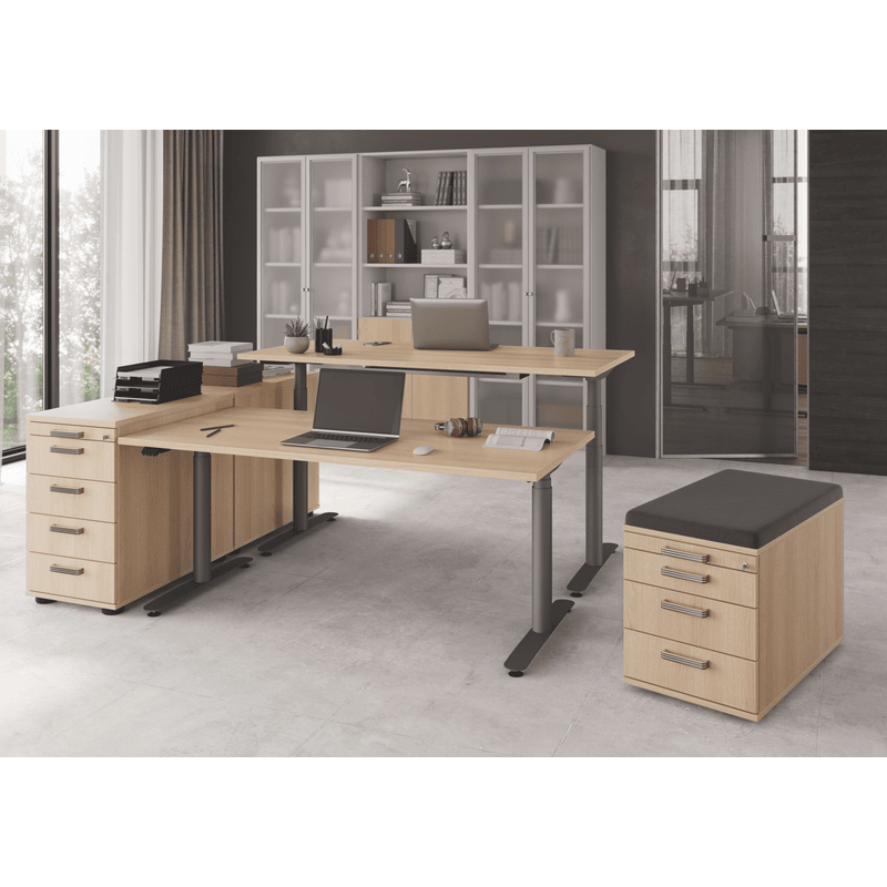 Aktenschrank Rhone mit Milchglastüren, 800 x 420 x 2004 mm, Rahmen silber, in diversen Farben