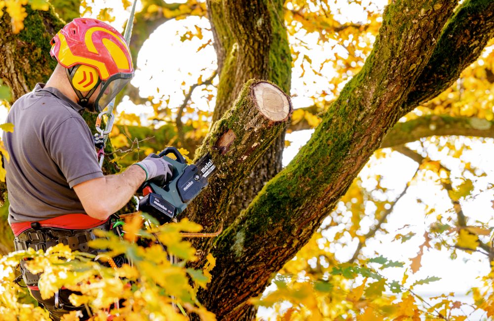 Metabo Akku-Kettensäge MS 18 LTX BL 25, 18 V, in zwei Ausführungen