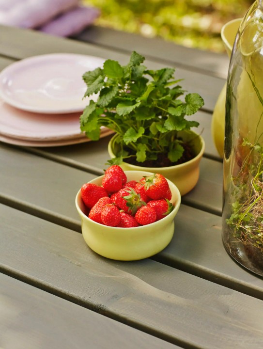 PLUS Planches-Meuble de jardin avec table et banc à s'asseoir, avec ou sans dosserets
