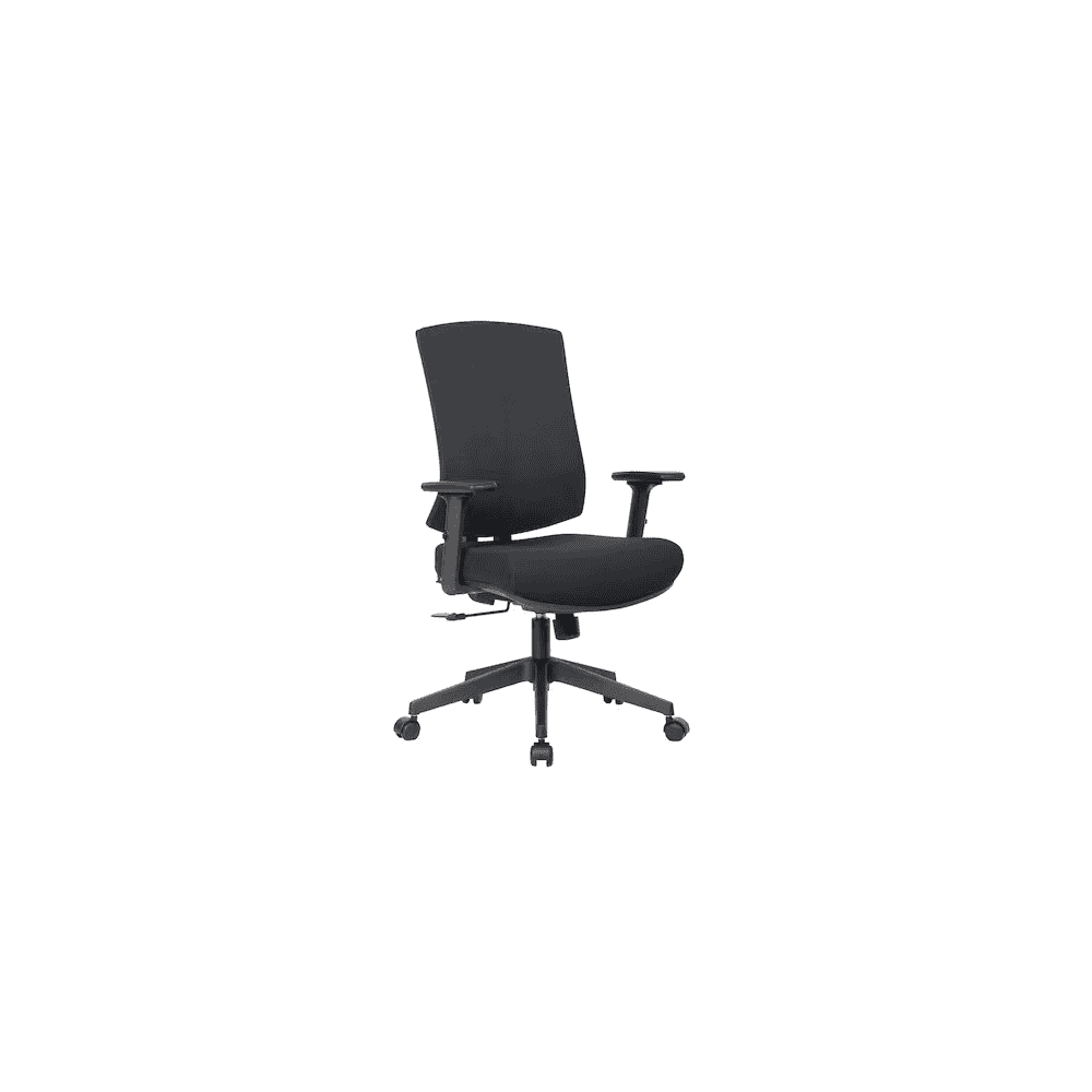 Chaise de bureau Orion II avec accoudoirs, dossier rembourré, noir