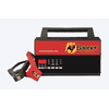 Banner Accucharger Pro 100A 12V