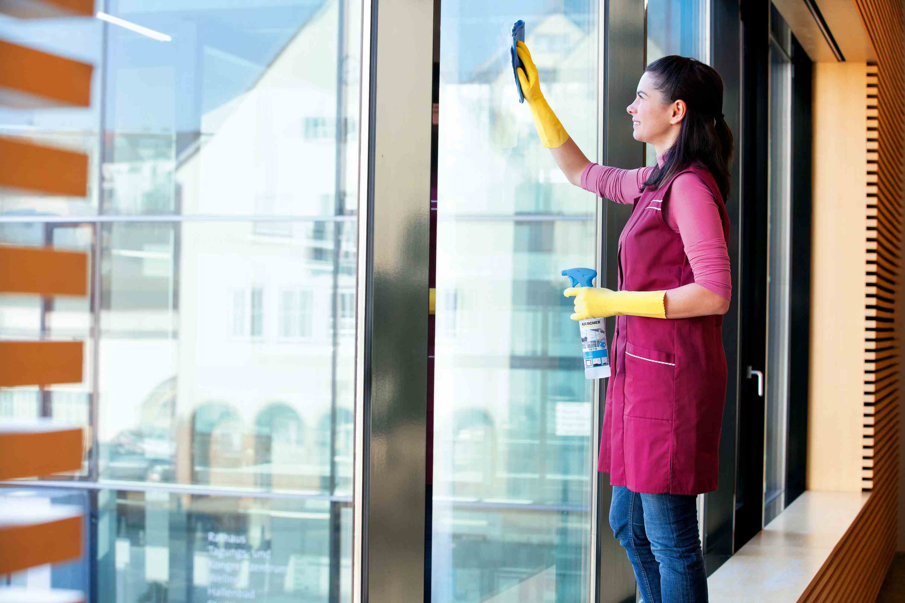 Kärcher SurfacePro Détergent pour vitres Glasal 10l