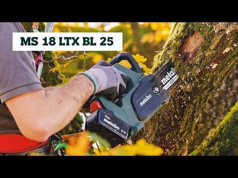 Metabo Akku-Kettensäge MS 18 LTX BL 25, 18 V, in zwei Ausführungen