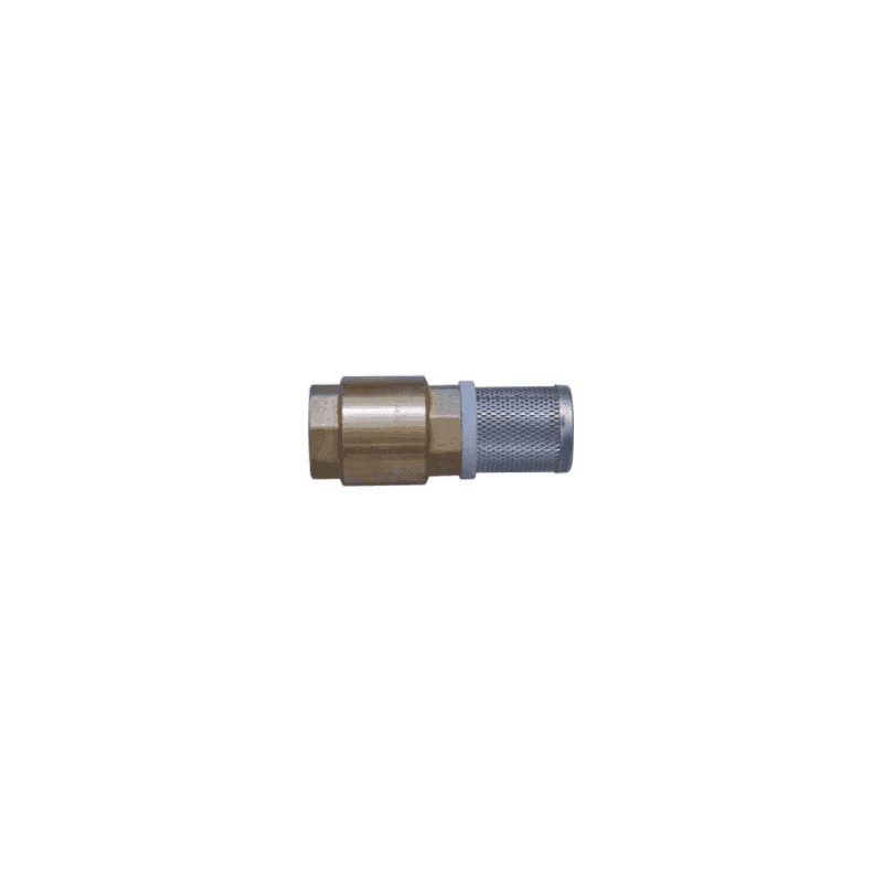 Clapet/Crépine avec clapet, avec filtre, laiton, 1" FF