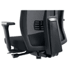 Chaise de bureau Pegasus avec dossier et accoudoirs en maille, noir