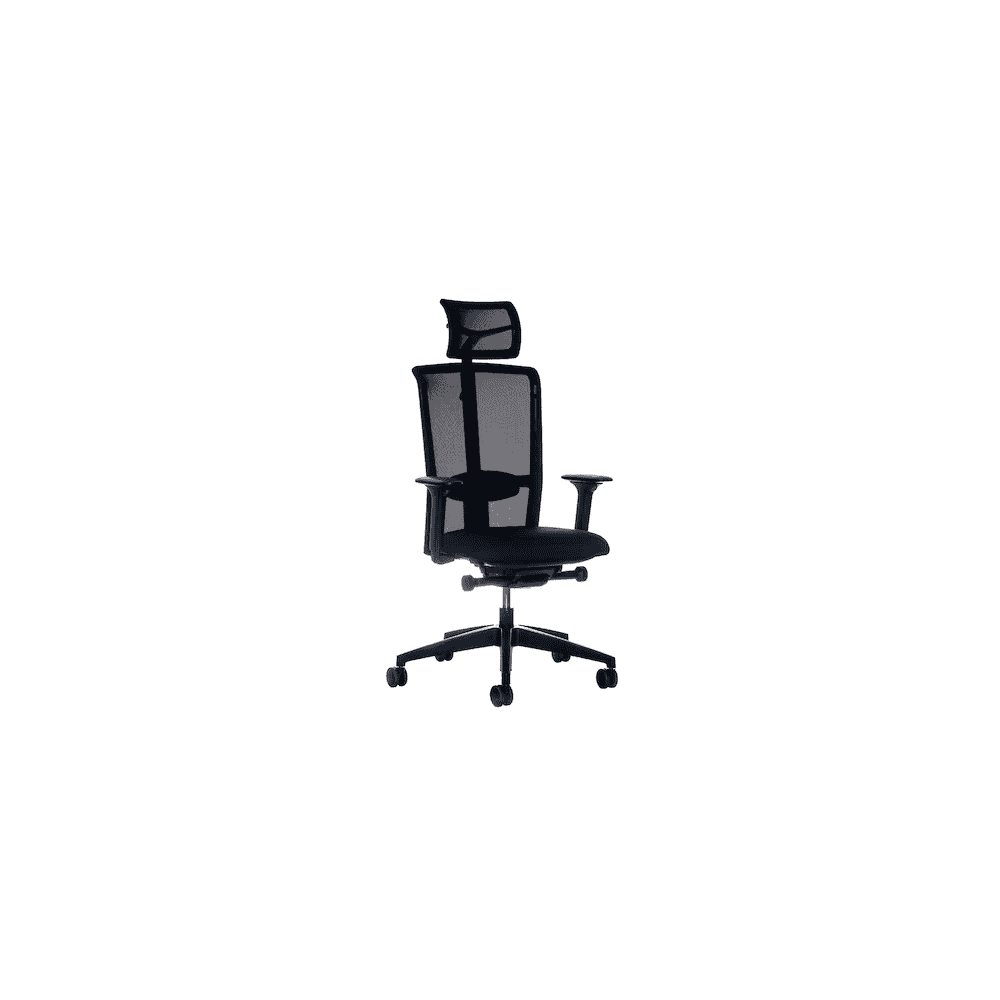 Chaise de bureau Interstuhl LX216 avec dossier en résille et accoudoirs 4D, noir