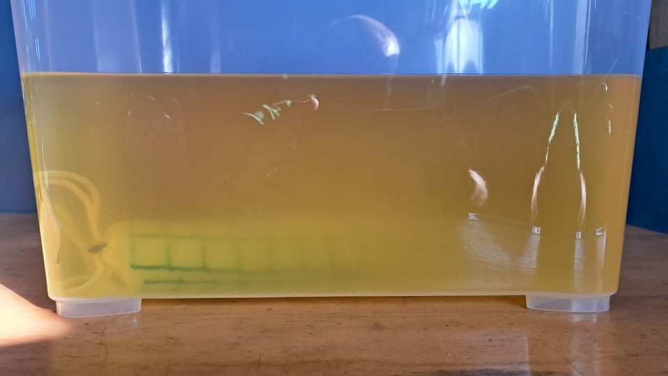 Wasserabsorber für Diesel, Grösse S, Aufnahmekapazität 400 ml, Länge 30 cm