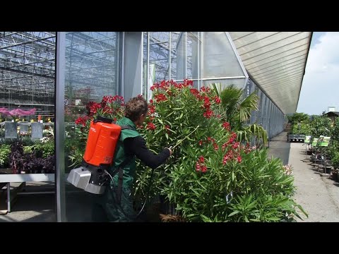 Birchmeier Akku-Rückensprühgerät REX 15, Füllmenge 15 l, 18 V in drei Ausführungen