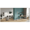 Ballon ergonomique Alba, diamètre 650 mm, disponible en 3 couleurs