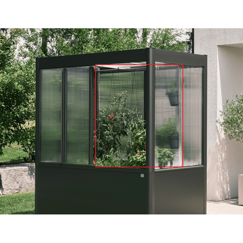 Biohort Rankhilfe - Zubehör Gewächshaus Florentina