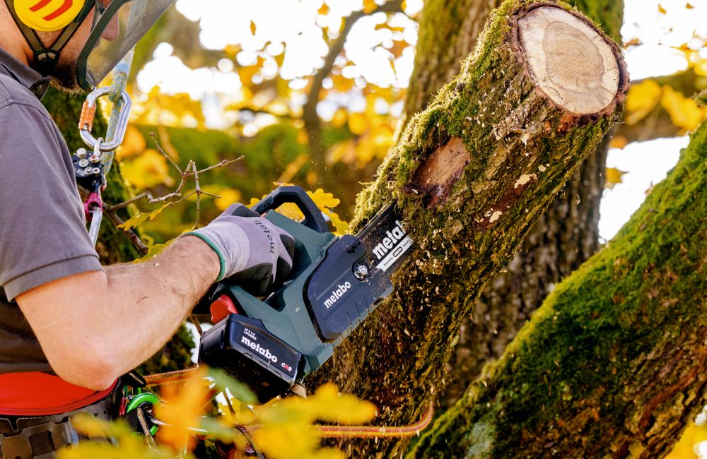Metabo Akku-Kettensäge MS 18 LTX BL 25, 18 V, in zwei Ausführungen