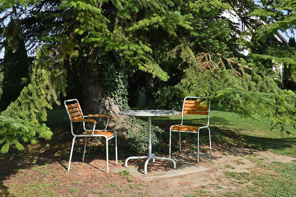 Schaffner Fauteuil RIGI en bois de frêne suisse, en diverses exécutions