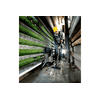 Metabo Allessauger ASA 30 L PC INOX 1250 Watt, mit manueller Filterabreinigung