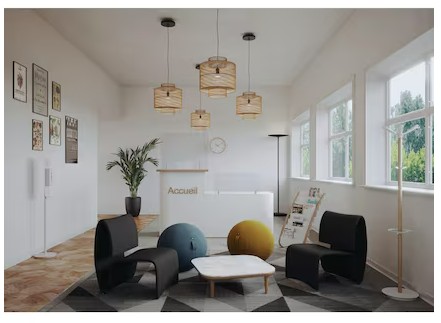 Ballon ergonomique Alba, diamètre 650 mm, disponible en 3 couleurs