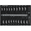 KRAFTWERK BASIC LINE EVA Schraubendreher-Einlage, LxB 600 x 400 mm, 22-teilig