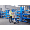 Elektrischer Treppensteiger mit Lift, Tragkraft 170 kg