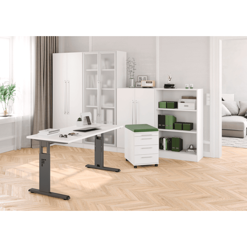 Bücherregal Rhone, Traglast 28 kg, Spanplatte, in diversen Ausführungen