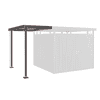 Biohort toit latéral dim. S pour abri de jardin HighLine®, H2-H6, en 3 couleurs