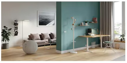 Ballon ergonomique Alba, diamètre 650 mm, disponible en 3 couleurs