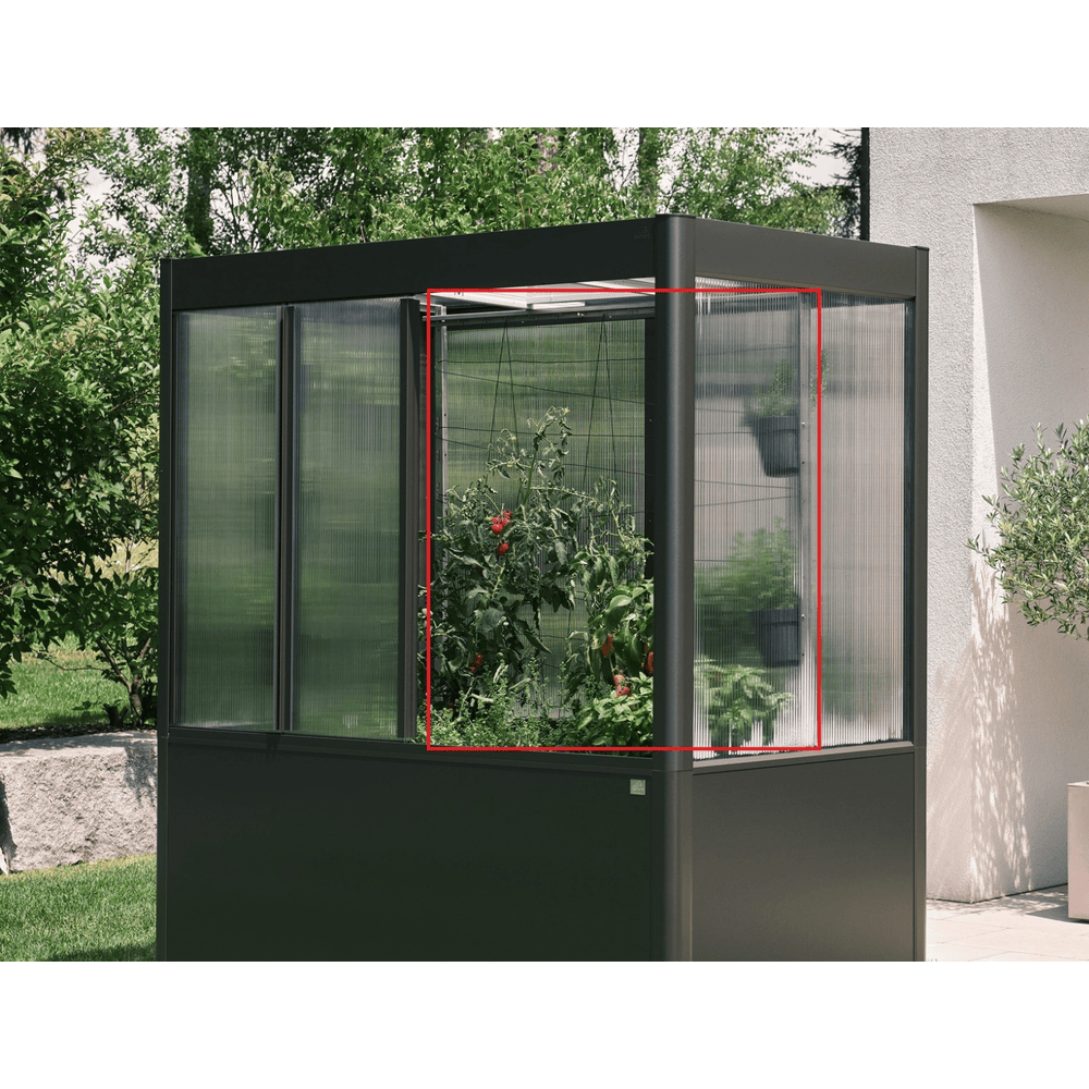 Biohort Rankhilfe - Zubehör Gewächshaus Florentina