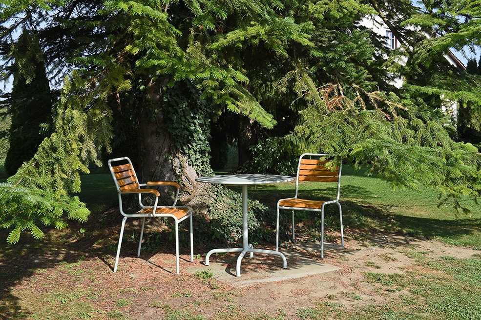 Schaffner Table de jardin ronde Rigi, rabattable et stable, en diverses exécutions