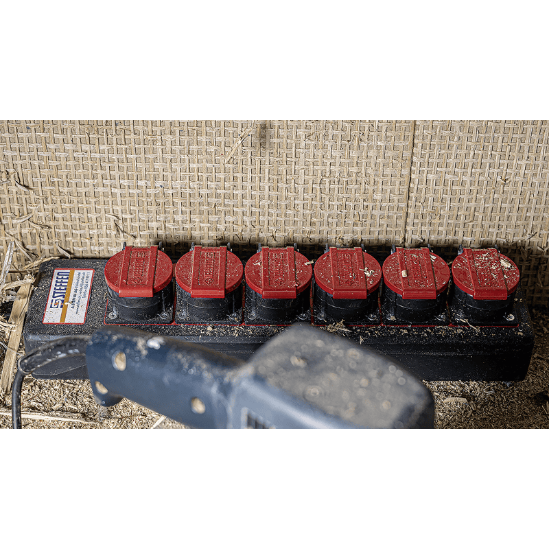 Steffen Multiprise PROFESSIONAL, prises de courant T25, 16 A, GdV 5 x 2.5mm², IP55, noir/rouge, différents versions