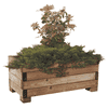 Boîte à fleurs en bois 
