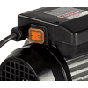 Elektrische Diesel-Pumpe Cematic 230 V | selbstansaugende Flügelzellenpumpe | Saughöhe bis 2.5 m